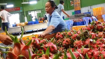 Những điều doanh nghiệp cần lưu ý khi xuất khẩu hàng sang UAE