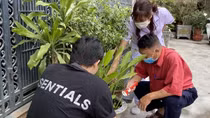 Dịch sốt xuất huyết ở Hà Nội đang hạ nhiệt