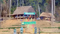 Vi phạm hồ sơ dự thầu, một doanh nghiệp bị cấm đấu thầu 5 năm