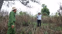 Khởi tố nguyên Trưởng phòng TNMT huyện Bảo Lâm