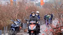 Trình phương án nghỉ Tết Nguyên đán 2024 từ 29 tháng Chạp