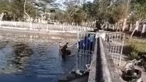 Công an xã kịp thời cứu sống một học sinh bị đuối nước dưới hồ sâu