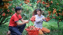 Nhiều cơ hội xuất khẩu qua thương mại điện tử xuyên biên giới