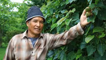 “Người đuổi gió” trên đỉnh Cu Vơ