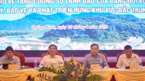 Tăng cường sự lãnh đạo của Đảng đối với công tác bảo vệ và phát triển rừng