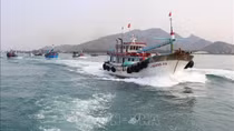 Tăng cường tuyên truyền cho ngư dân ra khơi đầu năm về chống khai thác hải sản bất hợp pháp