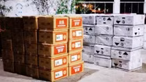 Khởi tố vụ án vận chuyển trái phép thuốc bảo vệ thực vật số lượng lớn