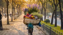 Nhớ mùa thu Hà Nội
