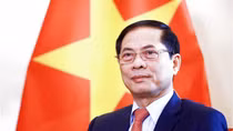 Quyết tâm xây dựng ngành ngoại giao vững mạnh, toàn diện, hiện đại