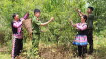 Ngược miền biên viễn làm con đồng bào