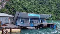 Quảng Ninh tìm cách bảo tồn làng chài cổ trên Vịnh Hạ Long
