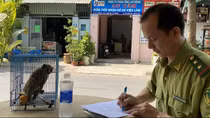 Đóng cửa đi ngủ, rùng mình phát hiện con thú lạ