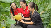 Vốn Agribank hỗ trợ phát triển nông sản sạch, nông sản OCOP