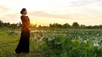 Đất đai qua văn chương
