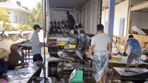Phát triển bền vững nghề khai thác cá ngừ đại dương