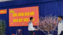 Bừng sắc thắm hoa đào, hoa mai ở Trường Sa