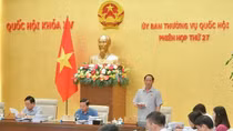 Ồ ạt đầu tư điện gió, điện mặt trời nhưng không hoà được điện lưới: “Có vấn đề gì trong đó không”?