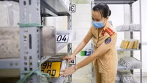 Chuẩn bị sẵn sàng để đấu giá biển số ôtô từ 1/7