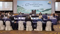 G7 họp bàn tìm cách đảm bảo an ninh lương thực