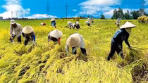Bắc Bộ nắng chói chang, trời oi bức