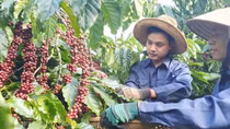 Đằng sau một con số phần trăm