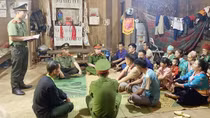 Cây Sa Mu giữa đại ngàn
