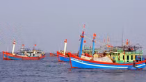 Hội Nghề cá Việt Nam phản đối Trung Quốc cấm đánh bắt cá ở Biển Đông