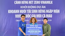 Vinamilk triển khai dự án tái sinh 25 ha rừng ngập mặn tại Cà Mau