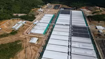 Trại chăn nuôi lợn công nghệ cao ở Thanh Hoá bị phạt gần 100 triệu đồng