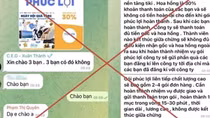 Mất hơn 300 triệu đồng khi tham gia xem video kiếm tiền trên mạng