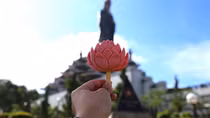 Độc lạ cây kem trên núi Bà Đen