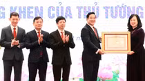 Nhiều lĩnh vực kỹ thuật y khoa ở Việt Nam đã phát triển đạt tầm quốc tế