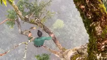 Săn Tết miệt rừng