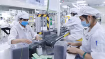 Hàng loạt “đại bàng” đã dịch chuyển và đầu tư vào Việt Nam
