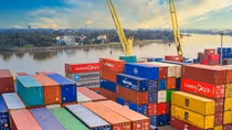 Lô hàng 10 container gỗ nhập khẩu “vắng chủ”