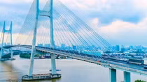 Dự án đường dẫn cầu Phú Mỹ: Nhà đầu tư mới nộp ngân sách Nhà nước 22,5 tỷ đồng