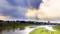 Sông Đáy một chiều thu