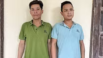 Hai đối tượng trộm hàng trăm gốc sâm Ngọc Linh
