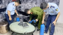 Đấu tranh triệt xoá nhiều điểm, tụ điểm phức tạp về ma tuý
