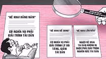 Kê khai biệt phủ