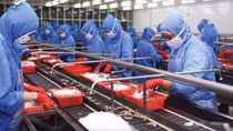 Khắc phục khó khăn để khai thác dư địa của thị trường Trung Quốc