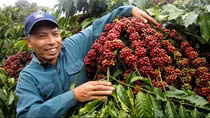 Doanh nghiệp tìm cơ hội trong ứng phó với biến đổi khí hậu