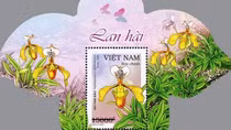 Phát hành bộ tem về các loài lan hài Việt Nam