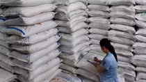 Phát hiện kho đường khủng không giấy tờ tại TP Hồ Chí Minh