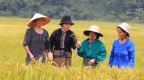 Hướng Việt hồi sinh sau trận lụt lịch sử