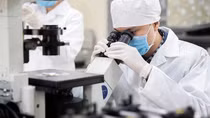 14 nhà khoa học Việt Nam có tên trong Bảng xếp hạng thế giới