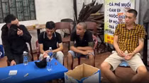 Thuê quán kinh doanh cà phê để tổ chức đánh bạc thu tiền xâu