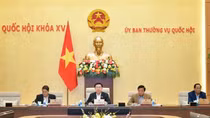 Dự thảo Luật Căn cước đảm bảo chất lượng, đạt sự đồng thuận cao