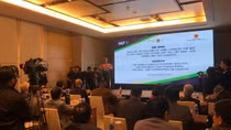 Hộ chiếu Logistics thế giới và khả năng tăng cường hợp tác Việt Nam - UAE trong lĩnh vực logistics
