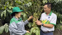 “Cho mùa bội thu” nhờ sử dụng phân bón hợp lý